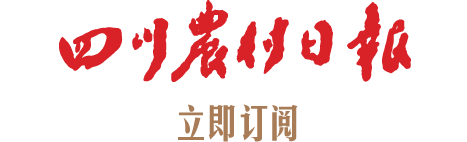 四川农村日报